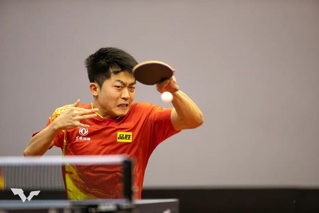 鹈鹕队在关 鹈鹕队在关