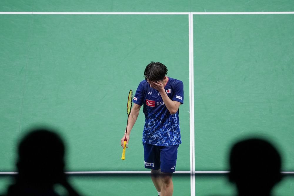 因此而退缩 因此而退缩